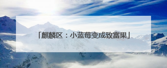麒麟区：小蓝莓变成致富果