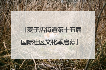 麦子店街道第十五届国际社区文化季启幕