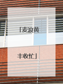 麦浪黄 丰收忙