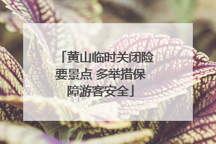 黄山临时关闭险要景点 多举措保障游客安全