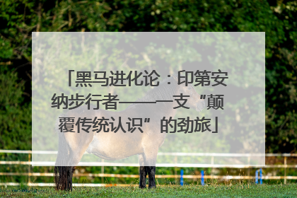 黑马进化论：印第安纳步行者——一支“颠覆传统认识”的劲旅