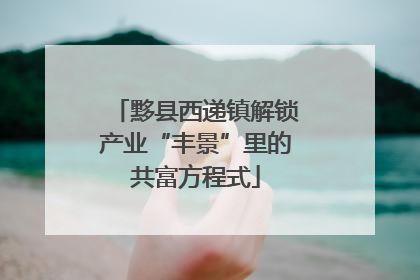 黟县西递镇解锁产业“丰景”里的共富方程式