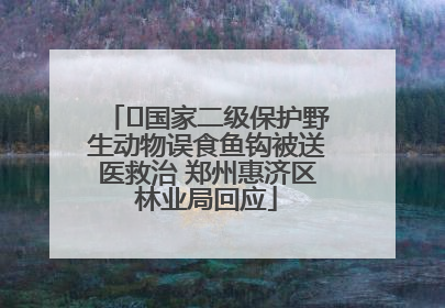 ﻿国家二级保护野生动物误食鱼钩被送医救治 郑州惠济区林业局回应