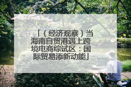 （经济观察）当海南自贸港遇上跨境电商综试区：国际贸易添新动能