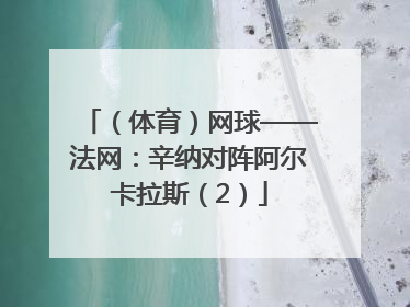 （体育）网球——法网：辛纳对阵阿尔卡拉斯（2）