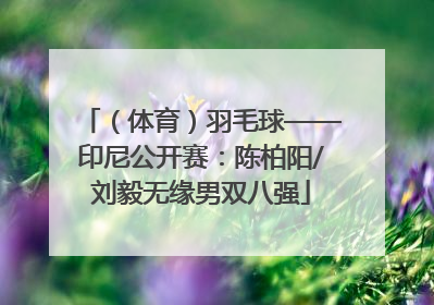 （体育）羽毛球——印尼公开赛：陈柏阳/刘毅无缘男双八强