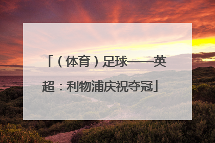 （体育）足球——英超：利物浦庆祝夺冠