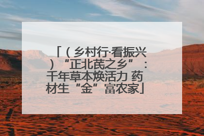（乡村行·看振兴）“正北芪之乡”：千年草本焕活力 药材生“金”富农家
