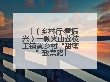 （乡村行·看振兴）一颗火山荔枝王铺就乡村“甜蜜”致富路