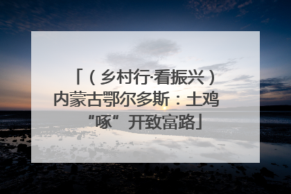 （乡村行·看振兴）内蒙古鄂尔多斯：土鸡“啄”开致富路