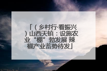 （乡村行·看振兴）山西天镇：设施农业“棚”勃发展 辣椒产业蓄势待发