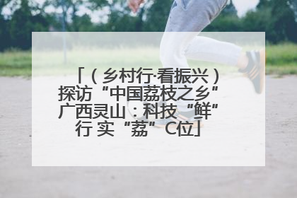 （乡村行·看振兴）探访“中国荔枝之乡”广西灵山：科技“鲜”行 实“荔”C位
