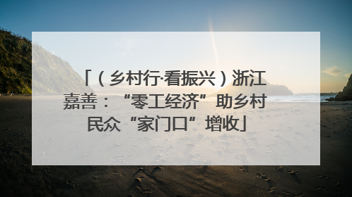 （乡村行·看振兴）浙江嘉善：“零工经济”助乡村民众“家门口”增收