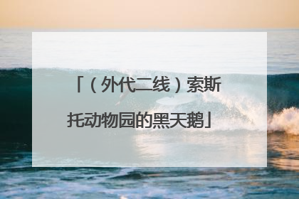 （外代二线）索斯托动物园的黑天鹅