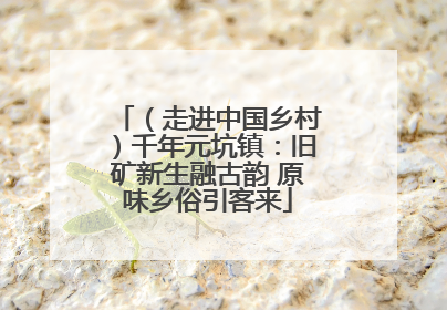 （走进中国乡村）千年元坑镇：旧矿新生融古韵 原味乡俗引客来