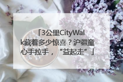 3公里CityWalk藏着多少惊喜？沪疆童心手拉手，“益起走”