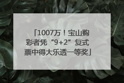 1007万！宝山购彩者凭“9+2”复式票中得大乐透一等奖