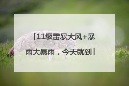 11级雷暴大风+暴雨大暴雨，今天就到