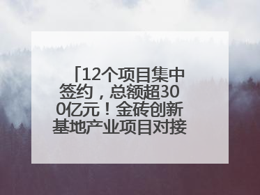 12个项目集中签约，总额超300亿元！金砖创新基地产业项目对接会举行