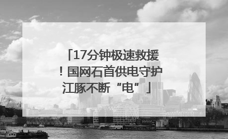 17分钟极速救援！国网石首供电守护江豚不断“电”
