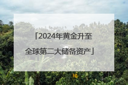 2024年黄金升至全球第二大储备资产