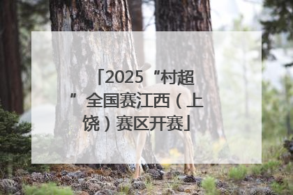 2025“村超”全国赛江西（上饶）赛区开赛