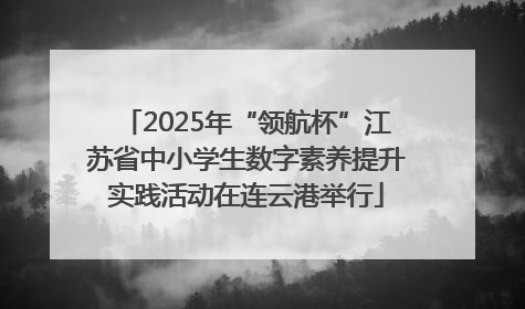 2025年“领航杯”江苏省中小学生数字素养提升实践活动在连云港举行