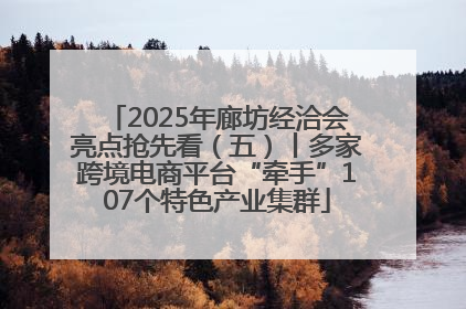2025年廊坊经洽会亮点抢先看（五）丨多家跨境电商平台“牵手”107个特色产业集群