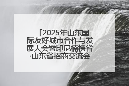 2025年山东国际友好城市合作与发展大会暨印尼楠榜省·山东省招商交流会在济南槐荫举行