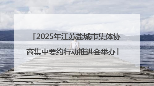 2025年江苏盐城市集体协商集中要约行动推进会举办