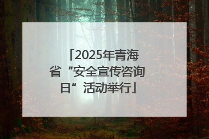 2025年青海省“安全宣传咨询日”活动举行
