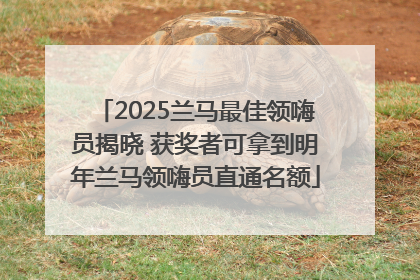 2025兰马最佳领嗨员揭晓 获奖者可拿到明年兰马领嗨员直通名额