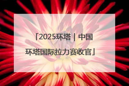 2025环塔｜中国环塔国际拉力赛收官