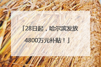 28日起，哈尔滨发放4800万元补贴！