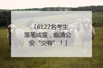 6122名考生落笔成章，临清公安“交卷”！