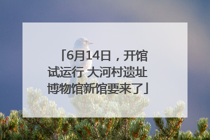 6月14日，开馆试运行 大河村遗址博物馆新馆要来了