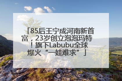 85后王宁成河南新首富，23岁创立泡泡玛特！旗下Labubu全球爆火“一娃难求”
