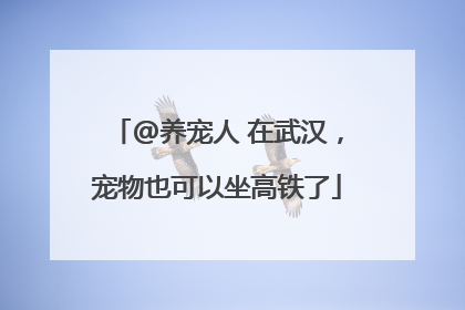 @养宠人 在武汉，宠物也可以坐高铁了