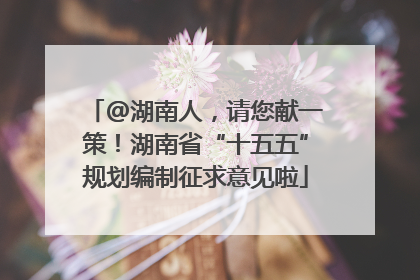 @湖南人，请您献一策！湖南省“十五五”规划编制征求意见啦