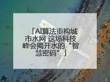 AI算法重构城市水网 这场科技峰会揭开水的“智慧密码”