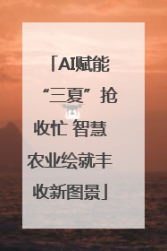 AI赋能“三夏”抢收忙 智慧农业绘就丰收新图景