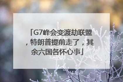 G7峰会变渡劫联盟，特朗普提前走了，其余六国各怀心事