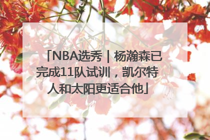 NBA选秀｜杨瀚森已完成11队试训，凯尔特人和太阳更适合他