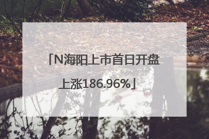 N海阳上市首日开盘上涨186.96%